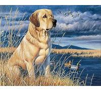 COKYIS Kit Broderie Point de Croix Compté labrador retriever DIY débutant canevas point de croix kit 11CT toile pré-imprimé noel décoration de la maison-40x50cm