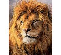 COKYIS Kit Broderie Point de Croix Compté Lion des animaux DIY débutant canevas point de croix kit 11CT toile pré-imprimé noel décoration de la maison,40x50cm