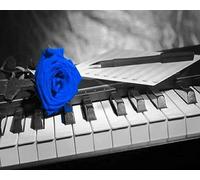 COKYIS Kit Broderie Point de Croix Compté touches de piano roses DIY débutant canevas point de croix kit 11CT toile pré-imprimé noel décoration de la maison,40x50cm