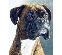 COKYIS Point de Croix Canevas Kit Adulte chien boxeur 11CT Kits de point de croix de démarrage de broderie pré-imprimés pour les débutants décoration murale,40x50cm