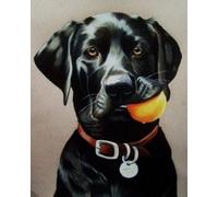 COKYIS Point de Croix Canevas Kit Adulte labrador noir 11CT Kits de point de croix de démarrage de broderie pré-imprimés pour les débutants décoration murale,40x50cm