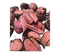Cola Fraîche,Kola Fraîche - Puissant Stimulant Naturel, Saveur Intense et Améliorée à la Mastication, 100 grammes -5/6 pièces