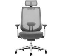 Chaise de bureau ergonomique ,chaise de bureau avec accoudoirs 4D et siège réglable avant-arrière, gris foncé