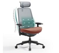 COLAMY Chaise de Bureau Ergonomique avec Support Lombaire, accoudoirs 4D et Profondeur d'assise réglable - Chaise de Bureau Ergonomique - Vainqueur du Test - Charge maximale : 136 kg - pour Bureau à
