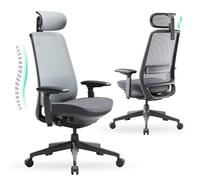 COLAMY Chaise de Bureau Ergonomique, en Maille, avec Dossier Haut, Support Lombaire, Appui-tête réglable et accoudoirs 4D, siège Coulissant, Gris Noir