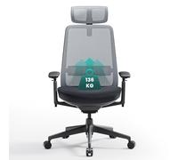 COLAMY Chaise de Bureau Ergonomique en Maille avec Dossier Haut, Support Lombaire, Appui-tête réglable et accoudoirs 4D, siège Coulissant, Noir et Gris