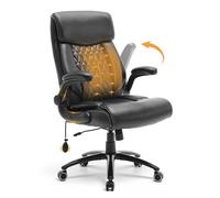 COLAMY Fauteuil de Bureau Ergonomique avec Support Lombaire, Bras relevables rembourrés et réglage d'inclinaison pour Travailler Longtemps au Bureau à Domicile, Noir