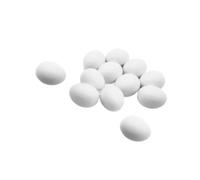 Colcolo 12pcs œufs de Pigeon Massif, œufs artificiels Décoration de Pâques décoration intérieure Dove Faux œufs pour Aider, Guider Les Pigeons de Course