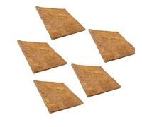 Colcolo 5 pièces Coussinets de Nidification de Poulet Tapis Doux Hamster literie boîte de Rangement Coussin poulailler nid doublures nid boîte, 30x30x1.2 Cm