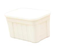 Colcolo Boîte de rangement miniature à l'échelle 1:12 avec couvercle, modèle réaliste de mini-organisateur pour scène miniature de gare ou de train, Blanc
