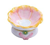 Colcolo Ceramic Cat Bowl Cat Food Disc Dishister Friendly Neck Protection Not Slip Vomiting Snack Conteneur pour Chiens Supplies pour Animaux de Compagnie, Rose