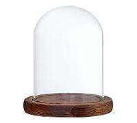 Colcolo Cloche de Dôme en Verre avec Couvercle en Bois de Support de Paysage de Fleur de Base, Brown B