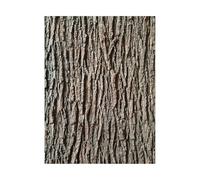 Colcolo d'arbre Artificielle, Imitation Parfaite, Couverture idéale, décoration Flexible, Fausse végétale pour lampadaires, sols, piliers et, 200 Cm X 60 Cm