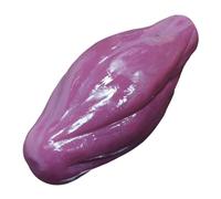 Colcolo Modèle de muscle humain, modèle anatomique, modèles d'anatomie, modèles de tissus musculaires légers et réalistes pour l'apprentissage