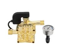 Colcolo Tête de Pompe à Eau pour Nettoyeur Haute Pression 220 V, Accessoire avec manomètre, Facile à Installer, tête de Pompe Portable pour Lave-Auto, Style A