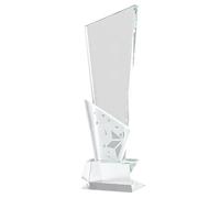 Colcolo Trophée Souvenir en Verre, décoration de Table pour événements d'entreprise, Accessoire léger, Polyvalent, Transparent, Style B