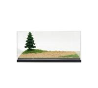 Colcolo Vitrine Miniature Display Boîte Diorama Boîte Présentation Coffret Exposition Boîte Collectible Boîtier Acrylique Clair avec Socle Foncé Préserve