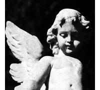 Cold Cave - Passion Depression (Black Glitter [Vinyl]