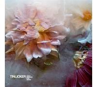 Cold Enough For Snow CD
