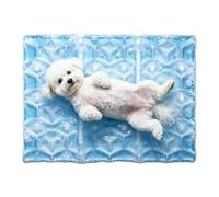 Cold Pad | Non-condensing Reusable Foldable, Cooling Ice Pads