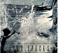 Cold Specks - I Predict a Graceful. [Import]