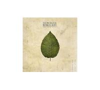 Cold Still Vinyle Vert Vinyle