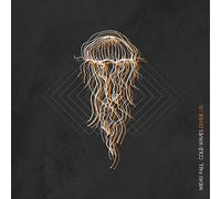 Cold Waves Divide Us Édition Limitée Vinyle Coloré