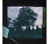 Cole,J. - 4 Your Eyez Only-180 Gram Vinyl