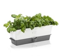 Cole & Mason H105349 Burwell Pot à Herbes Aromatiques avec Système D'irrigation Auto-Arrosage, Place pour 3 Pots, Blanc/Gris, 13,5 cm x 35 cm x 12,5 cm