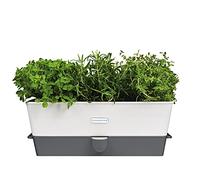 Cole & Mason H105349 Burwell Pot à Herbes Aromatiques avec Système D'irrigation Auto-Arrosage, Place pour 3 Pots, Blanc/Gris, 13,5 cm x 35 cm x 12,5 cm