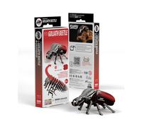 EUGY Coléoptère Goliath - Puzzle 3D N° 111 - Jouet Créatif en Carton Recyclé - pour Enfants dès 6 Ans et Adultes Jusqu’à 99 Ans - Puzzle Éducatif et Écologique