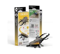 Coléoptère lucanidae - eugy 3d