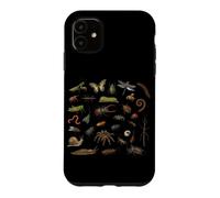 Coléoptères Insectes Espèces Entomologiste Nature Types d'insectes Coque pour iPhone 11