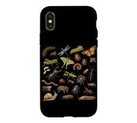 Coléoptères Insectes Espèces Entomologiste Nature Types d'insectes Coque pour iPhone X/XS