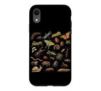 Coléoptères Insectes Espèces Entomologiste Nature Types d'insectes Coque pour iPhone XR