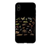Coléoptères Insectes Espèces Entomologiste Nature Types d'insectes Coque pour iPhone XS Max