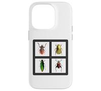 Coléoptères Quatre Insectes coléoptères Coque pour iPhone 14 Pro