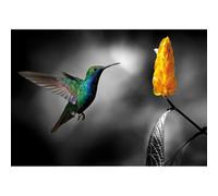 COLIBRI 2 peinture G3344 PINTDECOR