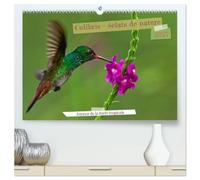 Colibris - éclats de nature (Calendrier mural haut de gamme 2027 DIN A2 vertical), CALVENDO calendrier mensuel: Joyaux de la forêt tropicale