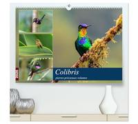 Colibris - pierres précieuses volantes (Calendrier mural 2026 DIN A2 vertical) calendrier de bureau: Les colibris du Costa Rica et de l'Équateur ... brillants à travers la forêt de nuages.