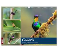 Colibris - pierres précieuses volantes (Calendrier mural 2027 DIN A3 vertical), CALVENDO calendrier mensuel: Les colibris du Costa Rica et de ... brillants à travers la forêt de nuages.