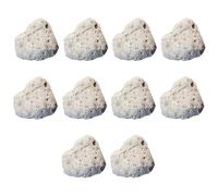 Colidcolor Lot de 10 spécimens de pierre ponce - Roches métamorphiques pour salles de classe scientifiques - Géologue sélectionné et traité à la main - Pack de classe, collection éducative