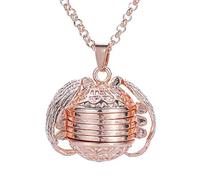 Colier ChaîNe De Maille Collier D'Amitie Pendentifs Argent St Valentin Occulte Cubaine Amitié Chain Necklace Pendentif (Or Rose)