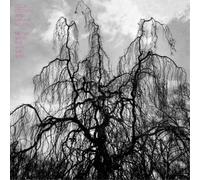 Colin Stetson and Sarah Neufeld Never Were the Way She Was (Vinyl) 12" Album