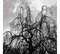 Colin Stetson and Sarah Neufeld Never Were the Way She Was (Vinyl) 12" Album