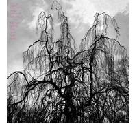 COLIN STETSON & SARAH NEUFFELD - NEVER WERE THE WAY SHE WAS VINYL LP NEUF