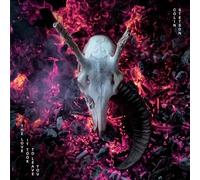 Colin Stetson - The Love It Took to Leave You LP [Vinyl]