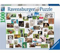 Collage d'animaux drôles Ravensburger 16711