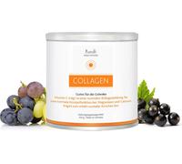 Collagène Bon pour les Articulations Poudre 300 g