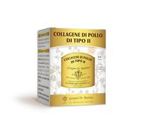 Collagène de poulet de type II - Poudre - 100 g